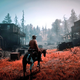 Red Dead Redemption II